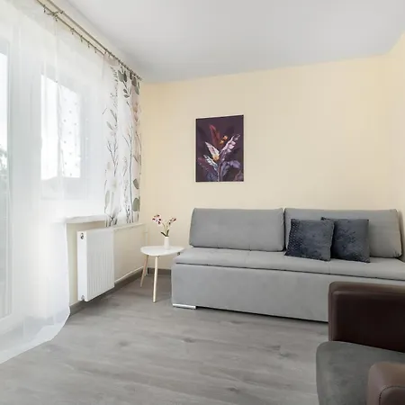 Spacious Family With Parking And Desks In By Renters Appartement