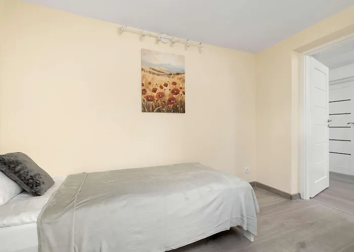 Spacious Family Apartments With Parking And Desks In Rzeszow By Noclegi Renters *